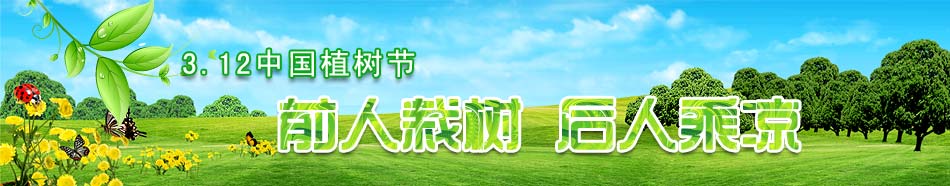 3.12植樹(shù)節(jié)專題