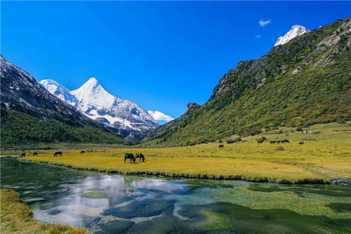 跟著抖音去旅行 抖音超火的網(wǎng)紅景點推薦