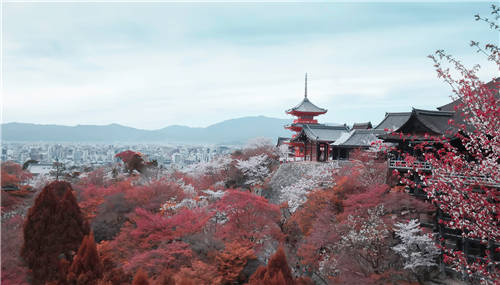 日本有哪些好玩的地方 日本旅游攻略