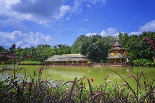 2019西雙版納必去景點(diǎn)排名 西雙版納必去景點(diǎn)一覽