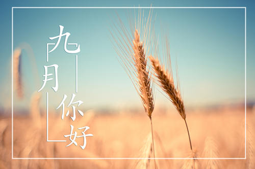 2019年九月份節(jié)日 9月份有什么節(jié)日