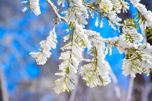 做夢夢到下大雪是什么意思