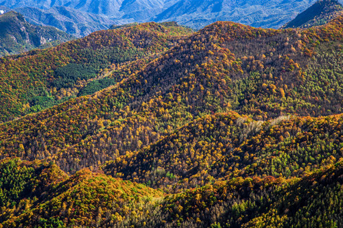 靈巖山風景區(qū)要門票嗎 靈巖山風景區(qū)介紹