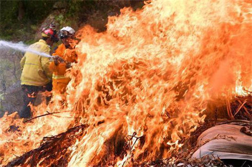 世界首富為澳捐款怎么回事 澳山火最新情況如何