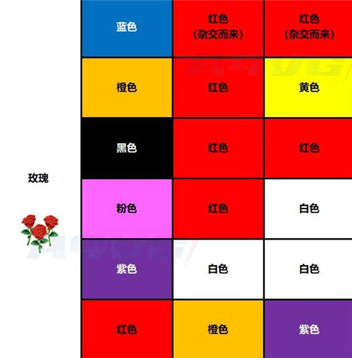 動物森友會花卉雜交攻略 花卉雜交品種顏色大全