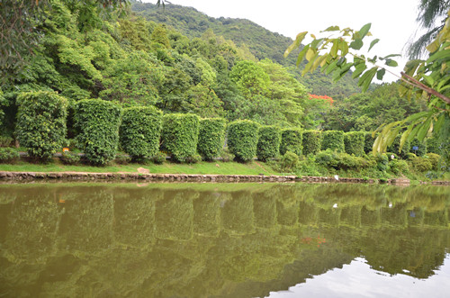 深圳仙湖植物園在哪 深圳仙湖植物園門票價格