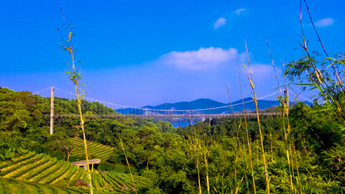 大俠谷和茶溪谷哪個(gè)好玩 茶溪谷和大俠谷的區(qū)別