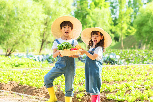 深圳有哪些農(nóng)家樂(lè) 深圳農(nóng)家樂(lè)推薦