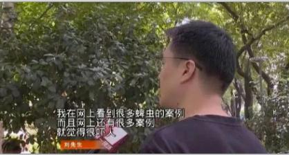 深圳市正值蜱蟲叮咬高發(fā)期 外出千萬要注意