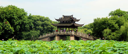 杭州西湖十景之曲苑風荷