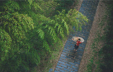 深圳“上、下班雨”為什么總是踩點(diǎn)到