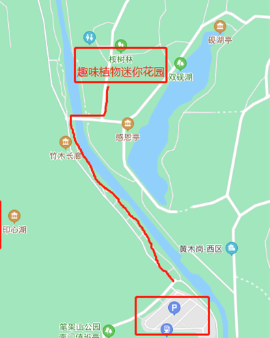 深圳福田區(qū)架山公園趣味植物迷你花園建成開(kāi)放