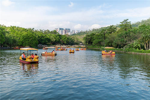 深圳福田區(qū)架山公園趣味植物迷你花園建成開(kāi)放