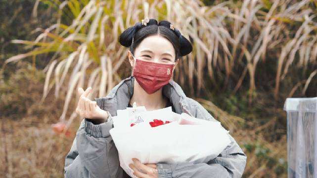 風雨濃胭脂亂劇情介紹 主演是誰