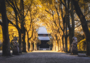 2022深圳大華興寺新年祈福法會(huì)時(shí)間