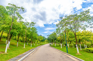 雪竹徑公園游玩攻略(附地址+交通線(xiàn)路)