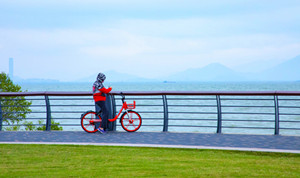 深圳灣公園從哪個(gè)地鐵口出來可以看到海