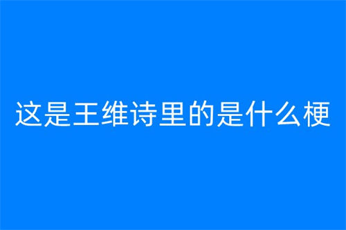 這是王維詩(shī)里的是什么梗 這是王維詩(shī)里的梗出自哪里