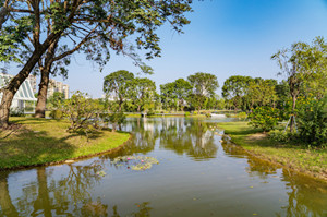 深圳香蜜公園中秋節(jié)開(kāi)放嗎 香蜜公園可以停車(chē)嗎