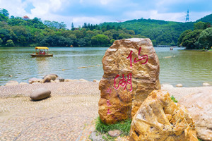 仙湖植物園門票多少錢一張 門票可以退嗎