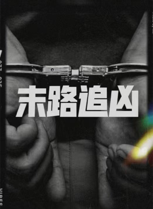 電影《末路追兇》什么時候上映  末路追兇劇情介紹