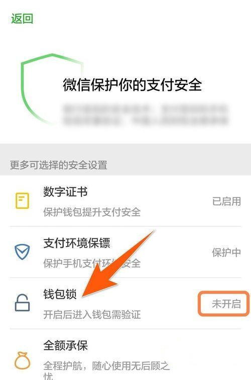 怎樣給微信錢包加密 微信錢包鎖怎樣設(shè)置開啟