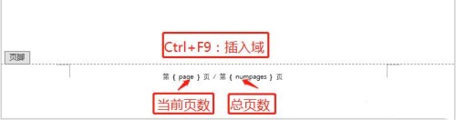 word怎么編輯頁碼 word文檔如何快速添加頁碼