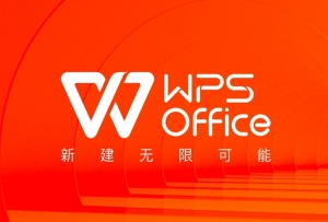 WPS清除格式怎么恢復(fù) WPS恢復(fù)被清除格式方法