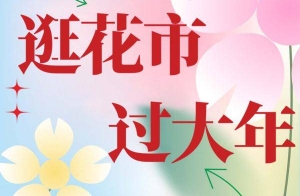 深圳迎春花市哪幾個(gè)區(qū)有