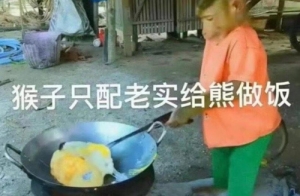 猴子只配給熊做飯是什么梗