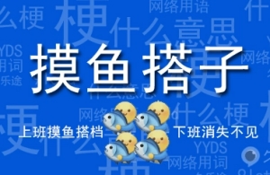 摸魚(yú)搭子是什么意思