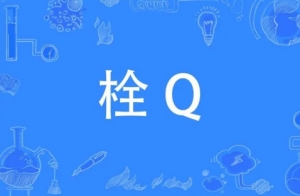 栓q網(wǎng)絡(luò)用語是什么意思