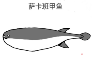 薩卡班甲魚(yú)是什么梗 薩卡班甲魚(yú)意思介紹