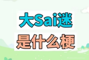 大SAI迷梗是什么意思