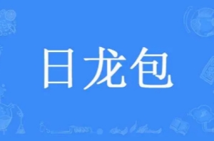 日龍包梗是什么意思