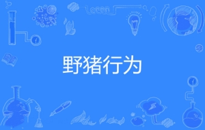 網(wǎng)絡用語野豬行為是什么梗