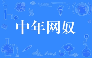 網絡用語中年網奴是什么梗