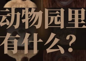 電影《動物園里有什么?》定檔1月12日上映