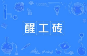 網(wǎng)絡(luò)用語醒工磚是什么梗