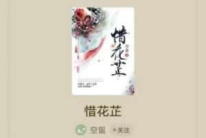 電視劇《惜花芷》是根據(jù)小說(shuō)改編的嗎