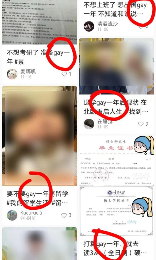 gay一年是什么梗 gay一年梗意思介紹