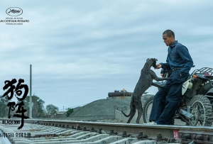 《狗陣》定檔6月15日全國上映 彭于晏、佟麗婭領(lǐng)銜主演