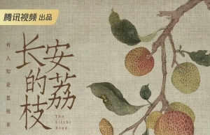 電視劇《長(zhǎng)安的荔枝》講述了什么故事